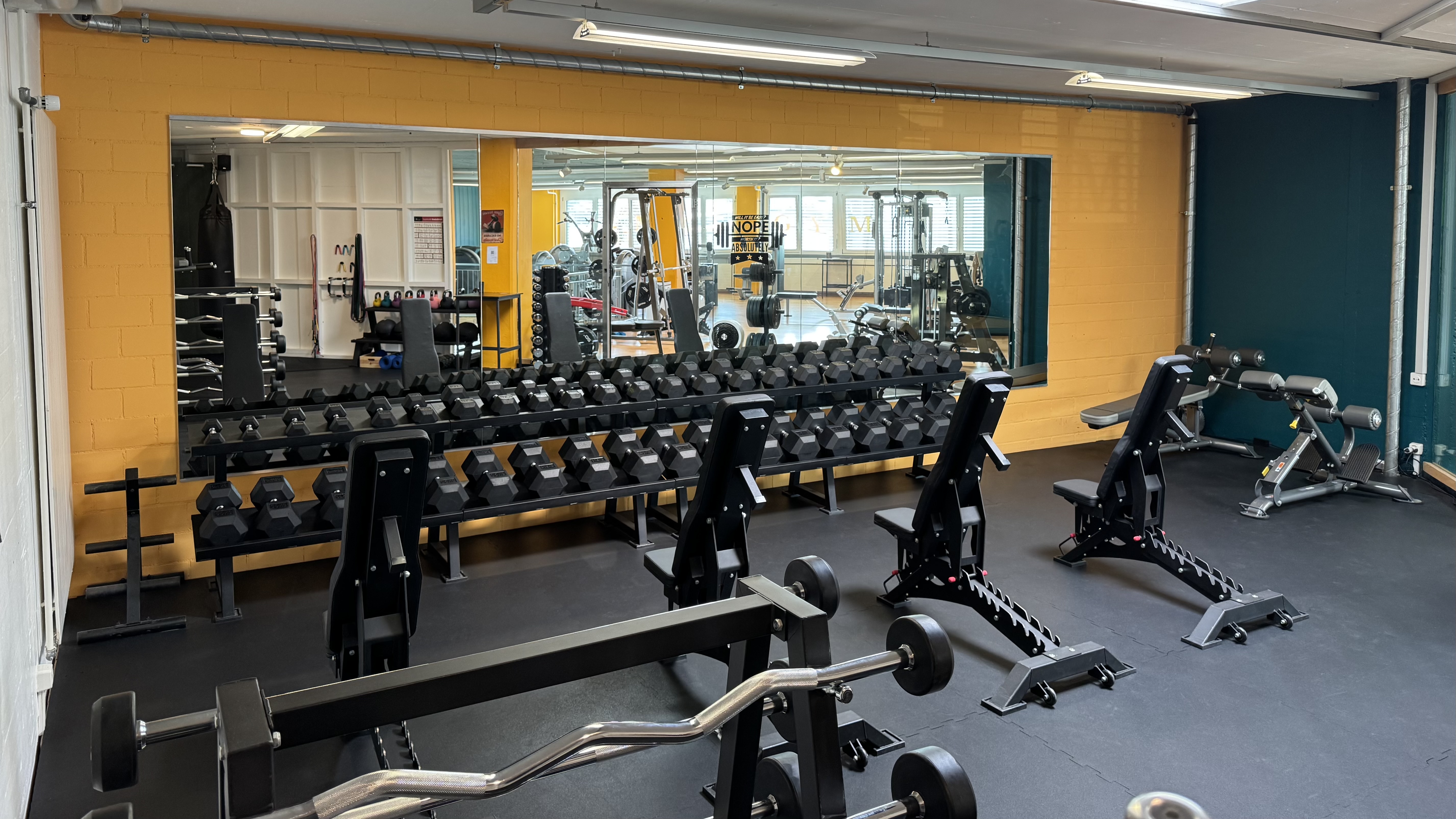 Freihantelbereich unteres Stockwerk M&S GYM