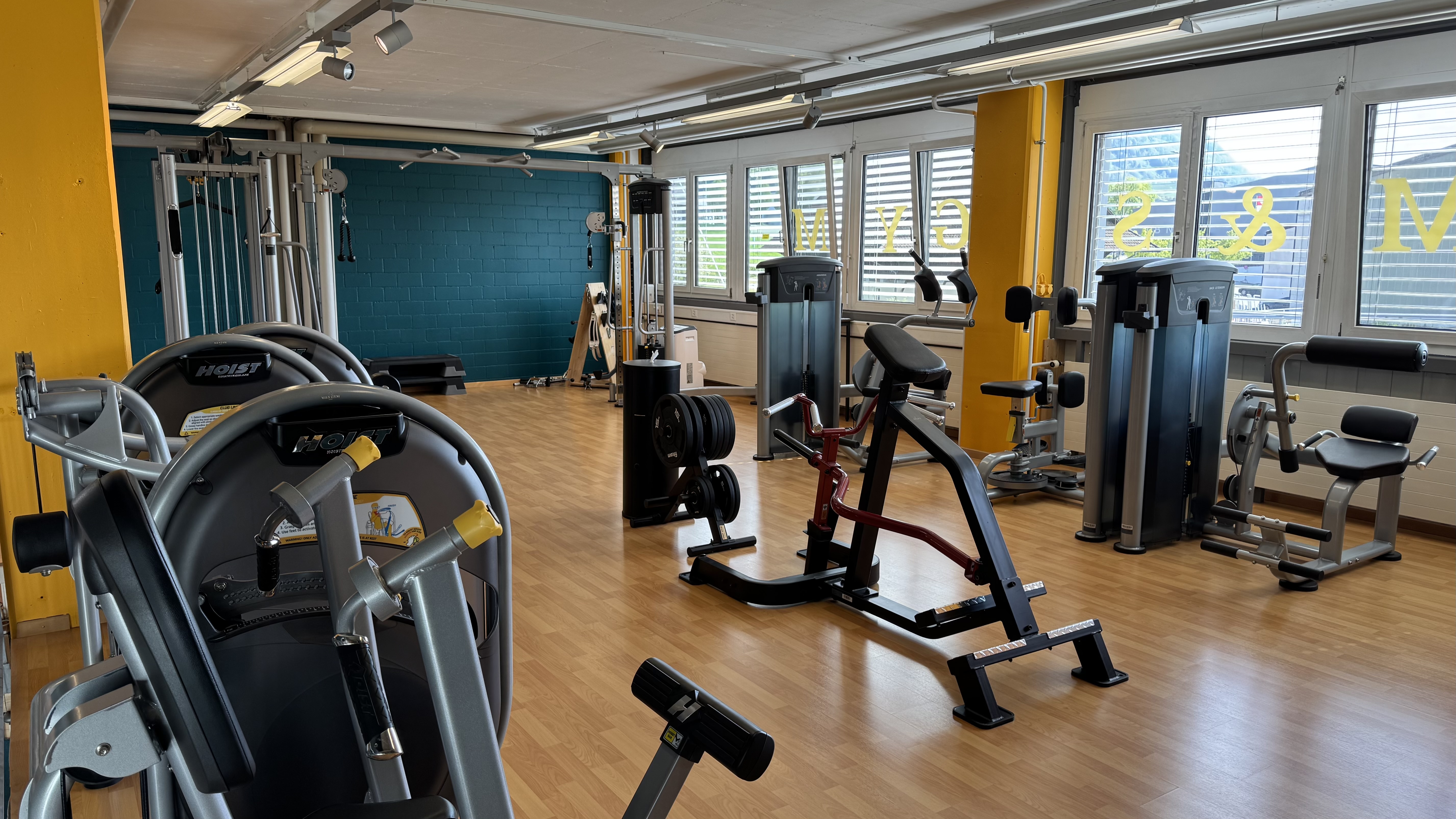 Kabelzug & Functional Trainer M&S GYM